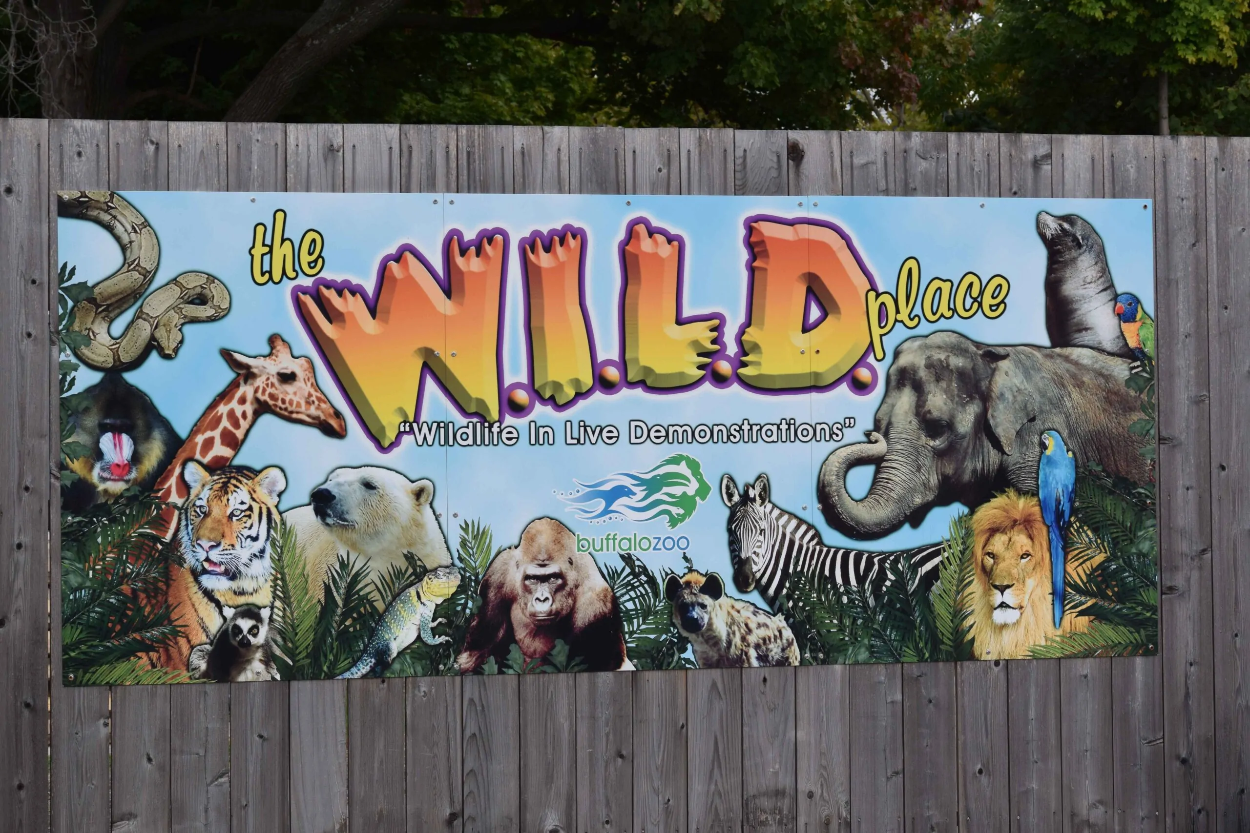 dibond signs as posters