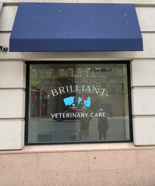 window decals for veterinary care center