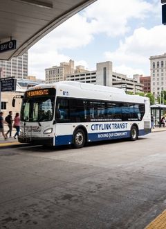 bus lettering and fleet numbers